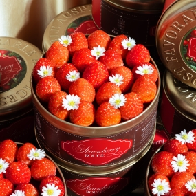 Strawberry Rouge