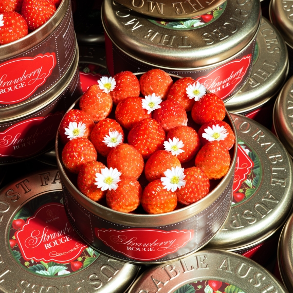 Strawberry Rouge