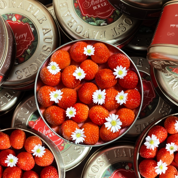 Strawberry Rouge