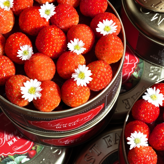 Strawberry Rouge