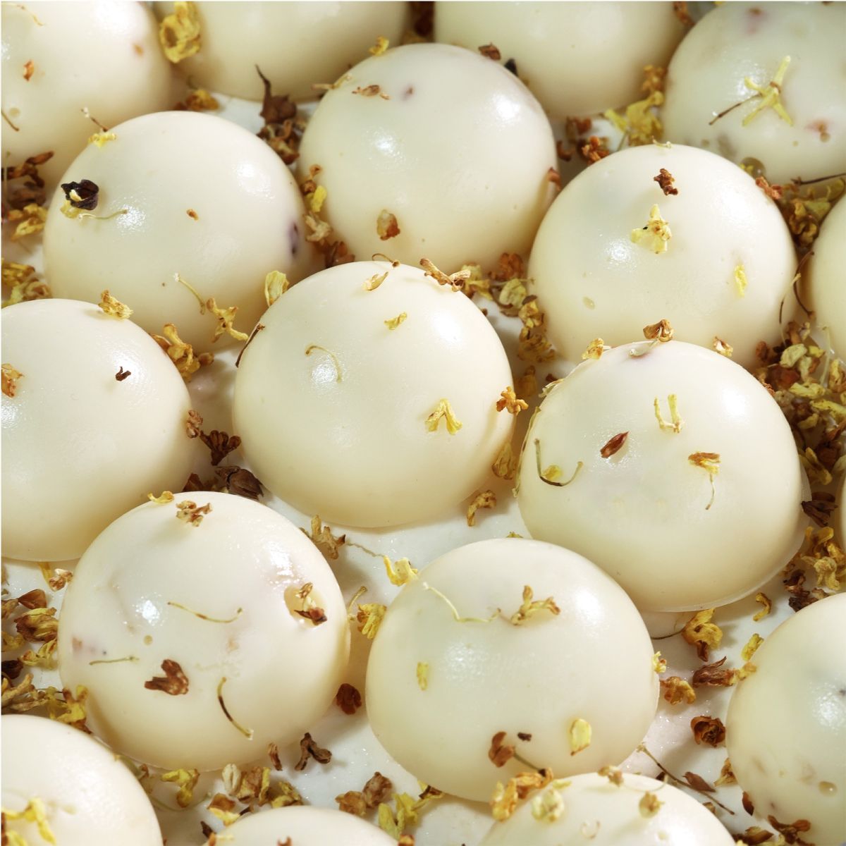 bánh hộp thiếc cao cấp ô long vải